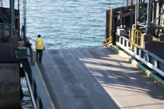 Maritime worker in a high-visibility vest standing near a dock, representing Longshore and Jones Act workers' compensation differences.